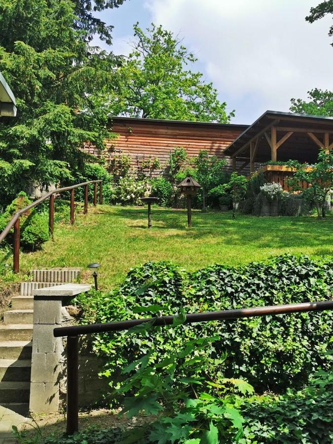 Pension Ginko Wernigerode Exterior photo